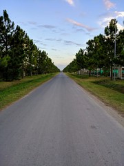 entrada al bosque