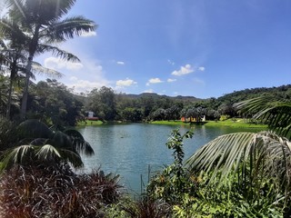 inhotim minas gerais brumadinho