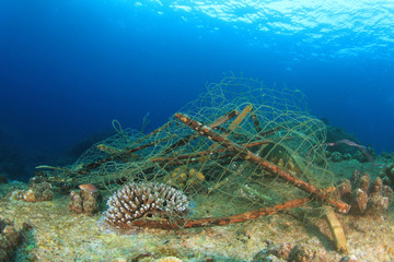 Ghost net snagged on coral