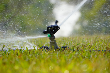 Landscape of irrigation garden. Lawn sprinkler spraying water over green grass. Irrigation system - technique of watering in the garden.