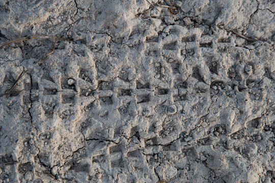 Textura tierra2