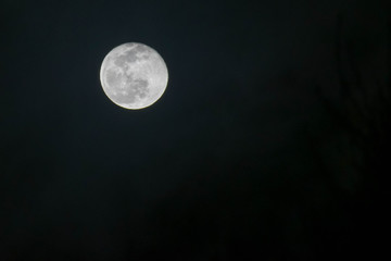 Obraz na płótnie Canvas Waining moon in the night sky