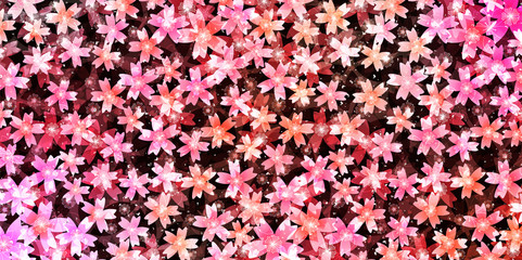  桜　春　花　背景