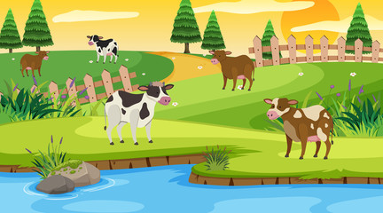 Obraz na płótnie Canvas Scene with cows in the field