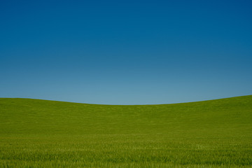 Obraz premium Slight Dip in the Hill Crest