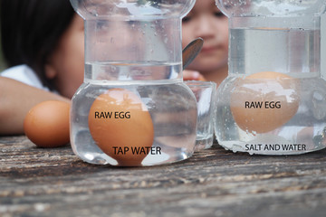 kids easy experiment at home.Asian siblings kid making Salty Science with Floating Eggs in...