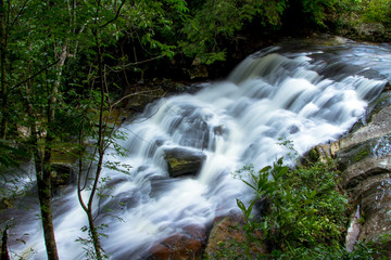 waterfall in forest