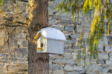 Birdhouse for birds on a tree under the snow in winter.