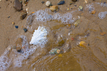 Sandy beach with pebbles and shells. Sea wave on the shore.
