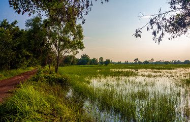 landscape with lake and blue sky