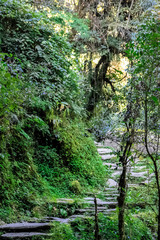 Pathway in High Mountain Nepal. Beauty of Earth