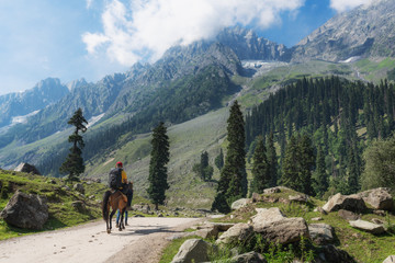 Fototapeta na wymiar a man with backpack riding horse on country road in summer with beautiful nature landscape view at Sonamarg, Jammu and Kashmir in India