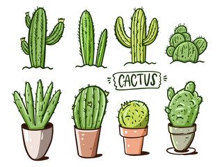 Different cactus set. Cartoon style. Vector illustration.