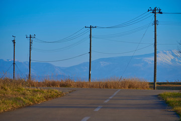 道路の先に電柱（横位置）