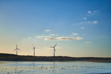 夕焼けの水辺の風力発電
