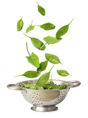 Colander with falling spinach on white background