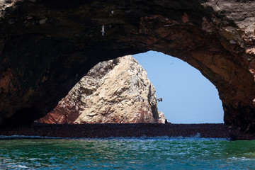 Large grotto with a beach, a sea lion sits in the middle, birds fly Ballestas Islands, Paracas Nature Reserve, Peru, Latin America.