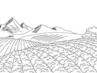 Soy plantation field graphic black white landscape sketch illustration vector