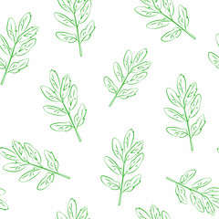 Vector seamless pattern of leaves of a mountain ash on a white background. Green outline
