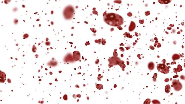 blood cells on white background