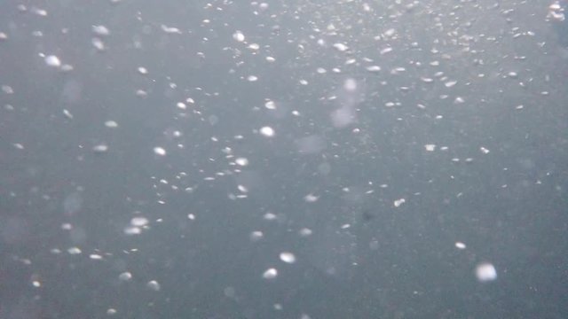 Underwater recording at high resolution of the bubbles circulation.