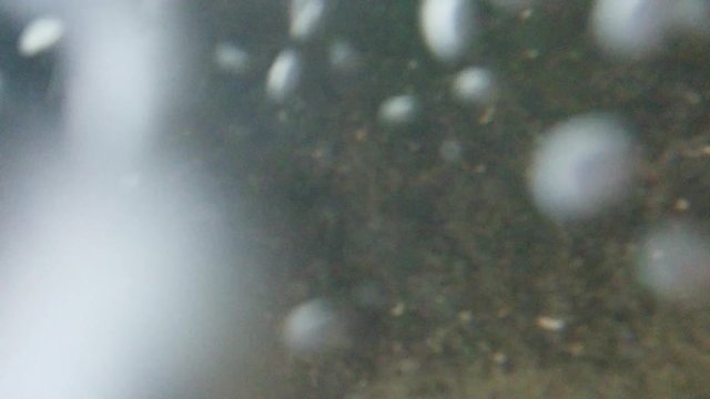 Underwater recording at high resolution of the bubbles circulation.