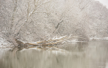 Beautiful nature scenes