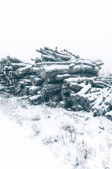 Pile of snow covered logs. Vertical image