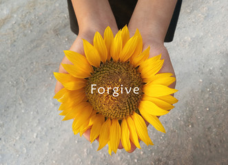 Inspirational quote - Forgive. With background of sunflower blossom in open hands. Forgiving words...
