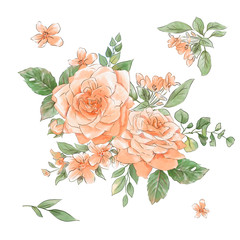 A large set of watercolors tender roses super quality.