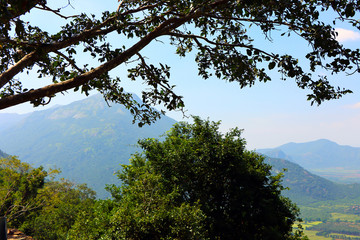 Meghamalai Forest Landscape - Stock Image