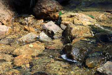 Fototapeta premium Closeup of reflection water landscape
