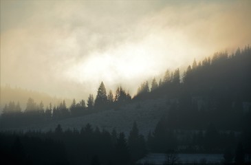 evening light with fog on the mountains