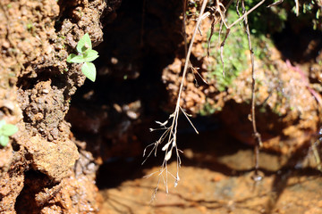 Closeup of reflection water landscape