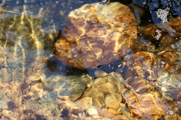 Closeup of reflection water landscape