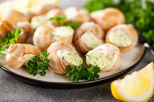 Escargots de Bourgogne - Snails with herbs butter on gray background. Selective focus - Powered by Adobe