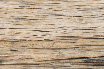 Fototapeta premium Wooden planks wall texture with Natural Pattern abstract for background