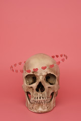The replica of human skull with flying hoop of paper hearts isolated on a pink background. Valentine's day, love concept. Banner, poster, breaking, postcard. Copy space, place for text