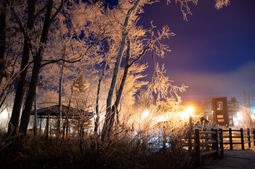 ライトアップされた冬の夜の公園。北海道の川湯温泉。
