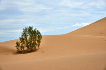 Singing Dune in Altyn Emel National Park. Kazakhstan.  Altyn-Emel National Park  is a national park in Kazakhstan. 
