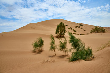 Fototapeta na wymiar Singing Dune in Altyn Emel National Park. Kazakhstan. Altyn-Emel National Park is a national park in Kazakhstan. 