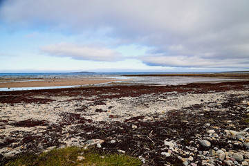 Norway landscape with beach of the Northern sea in sun day with white clouds