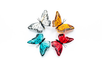 Fototapeta na wymiar Beautiful tropical butterfly on white background top-down pattern copy space