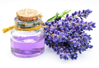 Bunch of lavandula and lavender essential oil on white background.
