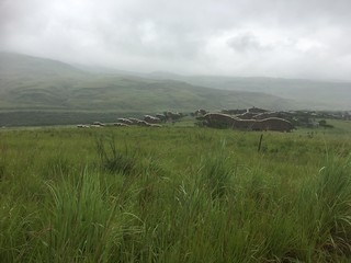 sunset over green field