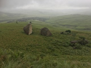 field of hay bales