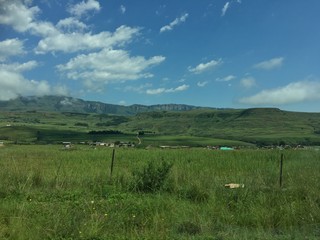 landscape with green field and blue sky