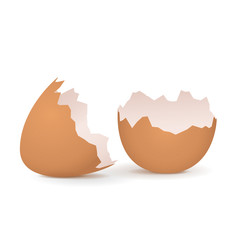 Broken egg shell - 314997623