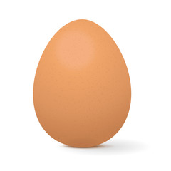 Chicken egg