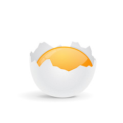 Broken egg